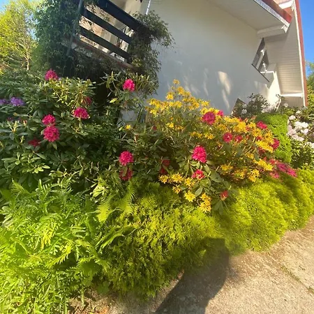 Radunia Holiday home Borzestowska Huta