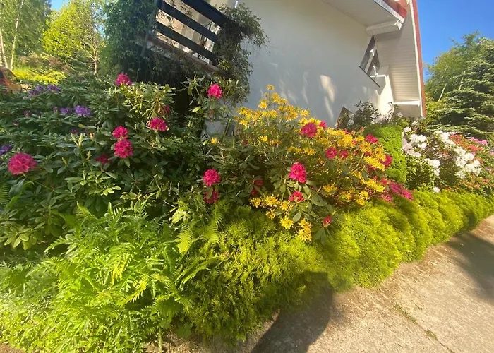 Radunia Semesterbostad Borzestowska Huta