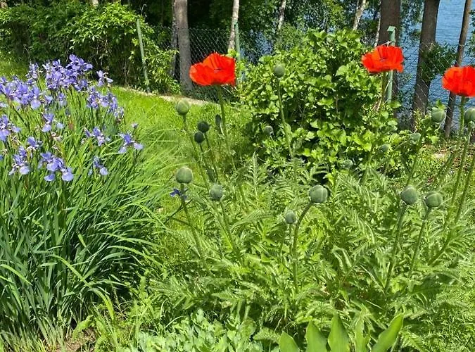 Radunia Semesterbostad *