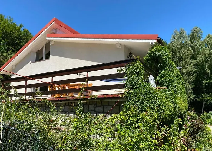 Radunia Semesterbostad Borzestowska Huta